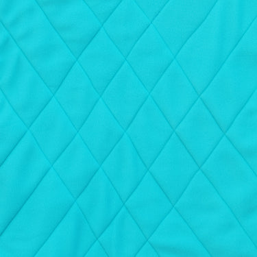Arctic Blue